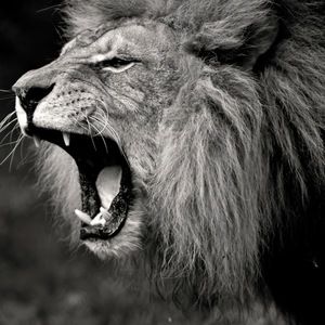 Meet your Posher, Erick